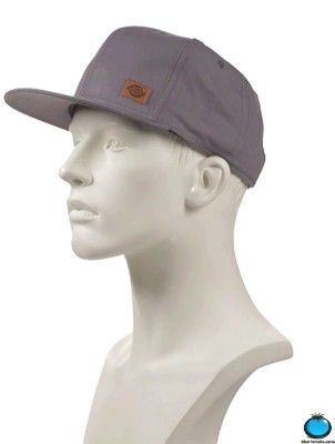 Dickies store minnesota cap